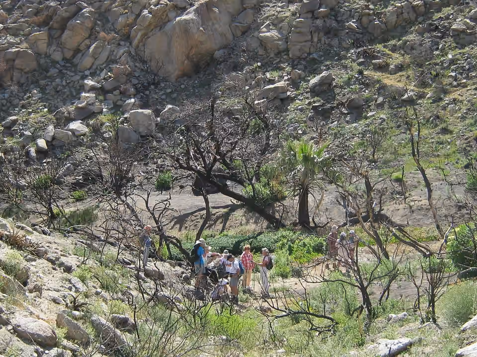 Un groupe de randonneurs fait une pause près de Big Spring, dans le parc d’Anza-Borrego.