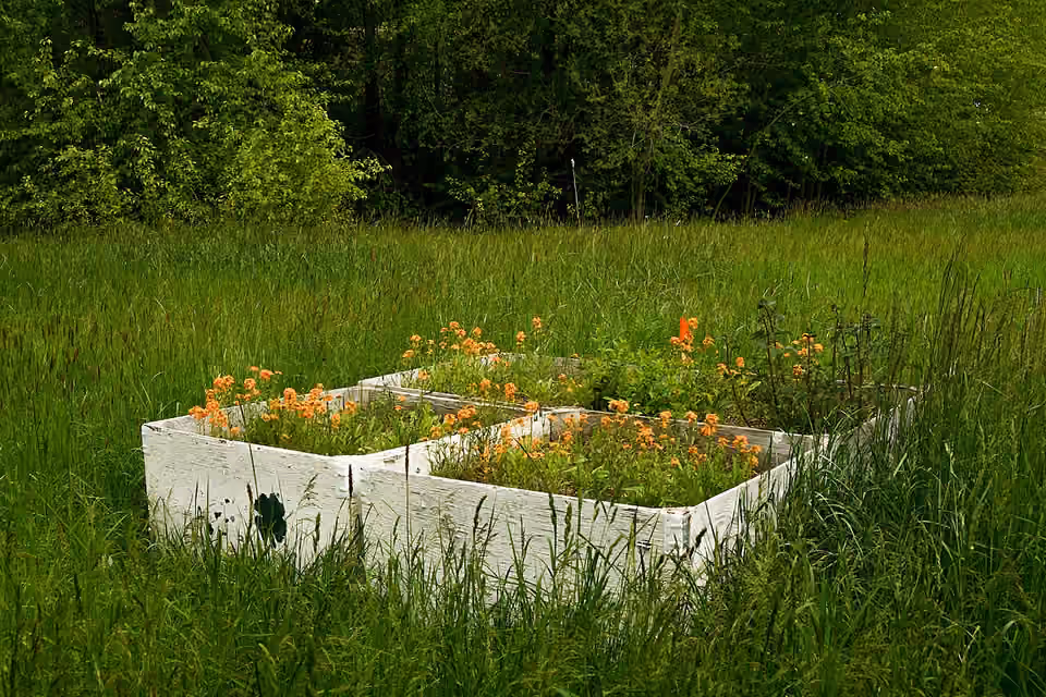 Jardin public pour pollinisateurs dans la vallée de Hood River en Oregon.