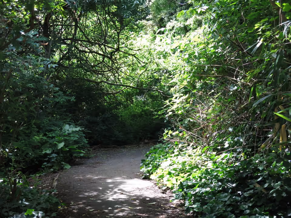Un sentier ombragé passe sous un couvert d’arbres près de la Corner Tower, en Angleterre.