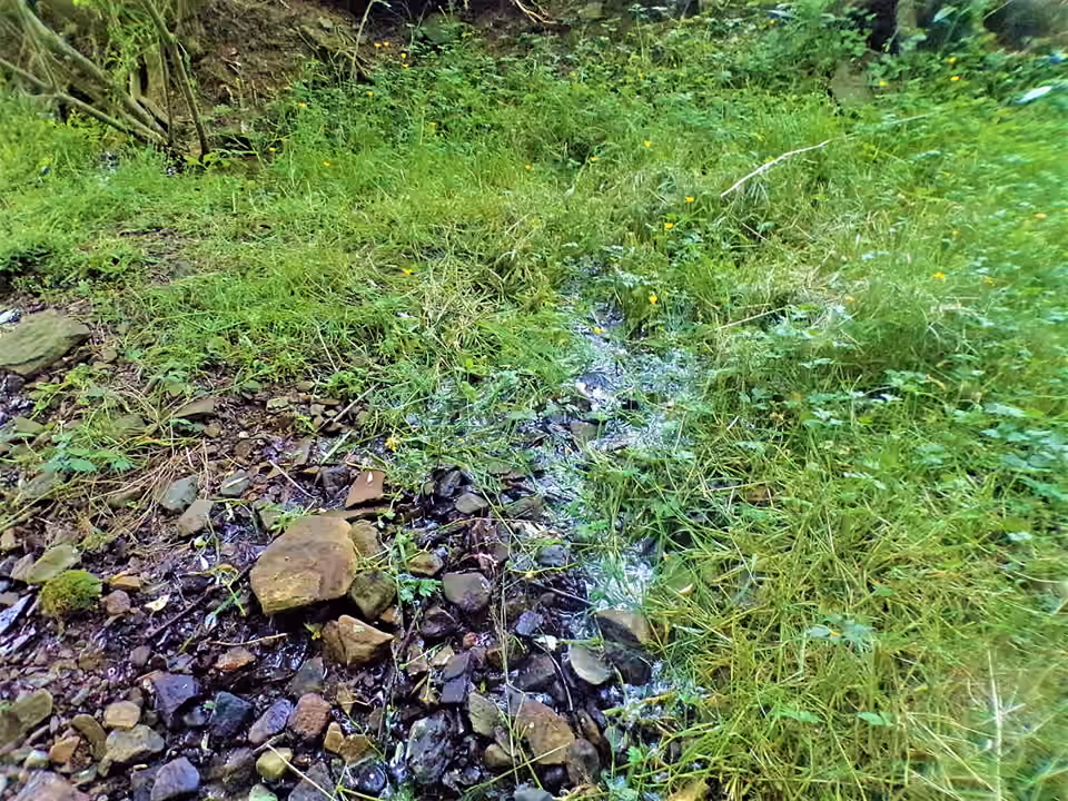 Eau d’une source naturelle s’écoulant entre herbes et rochers en Pennsylvanie.