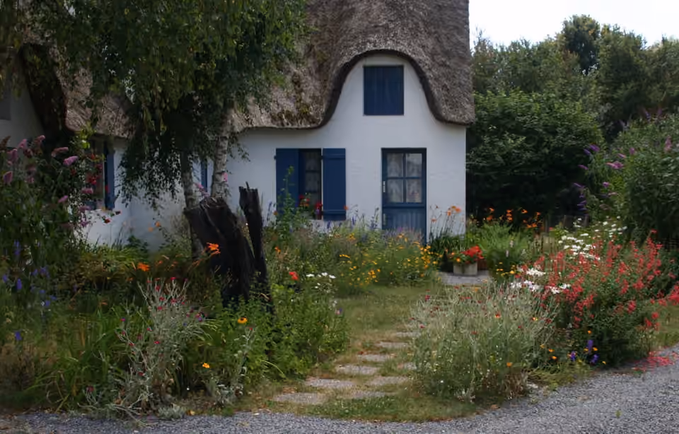 Jardin naturel à végétation diversifiée en Loire-Atlantique.