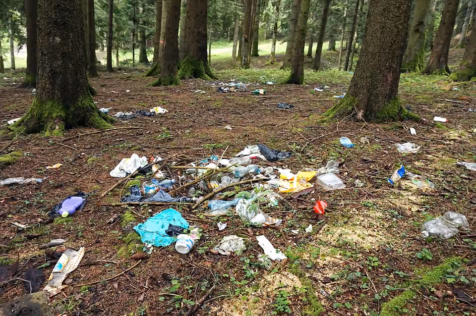 Des déchets abandonnés dans un espace boisé.