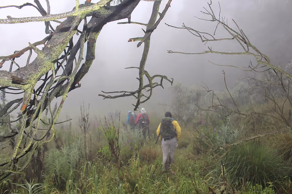 Un guide de randonnée marche sur un sentier enveloppé de brouillard.