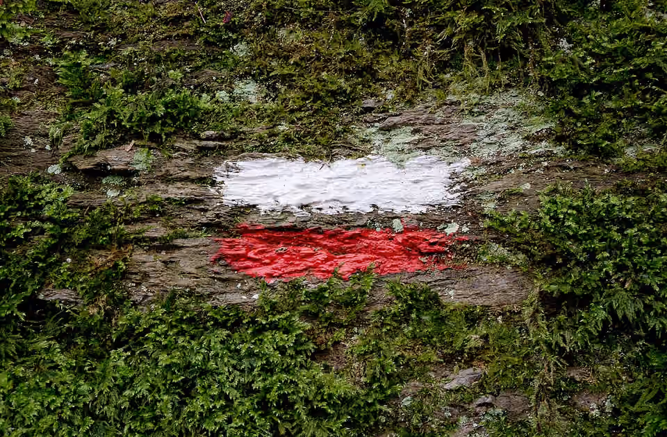 Une marque rouge et blanche de grande randonnée peinte sur un support au bord d’un chemin.