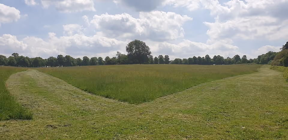 Chemin tondu traversant une prairie de Trent Park à Enfield.