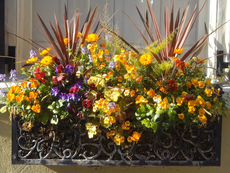Jardinière fleurie à une fenêtre de Charleston en Caroline du Sud.