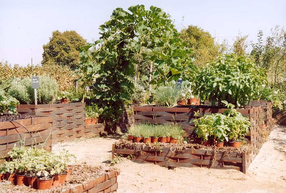 Vue d’ensemble du potager du château de La Bussière dans le Loiret.