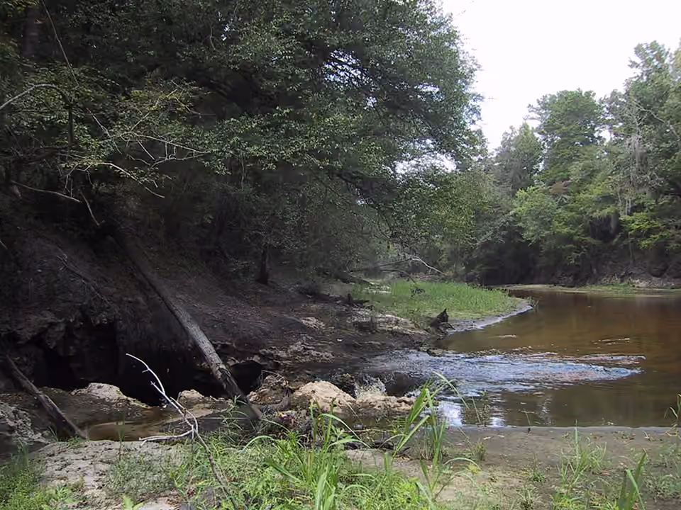 Rivière Alapaha s’engouffrant dans une perte naturelle en Floride.