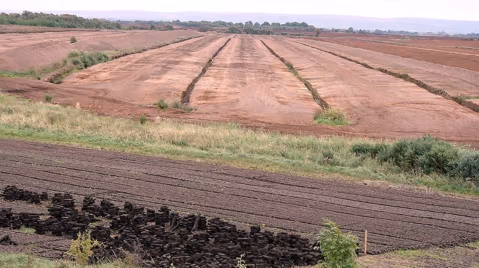 Extraction industrielle de tourbe dans le Bog of Allen, en Irlande.