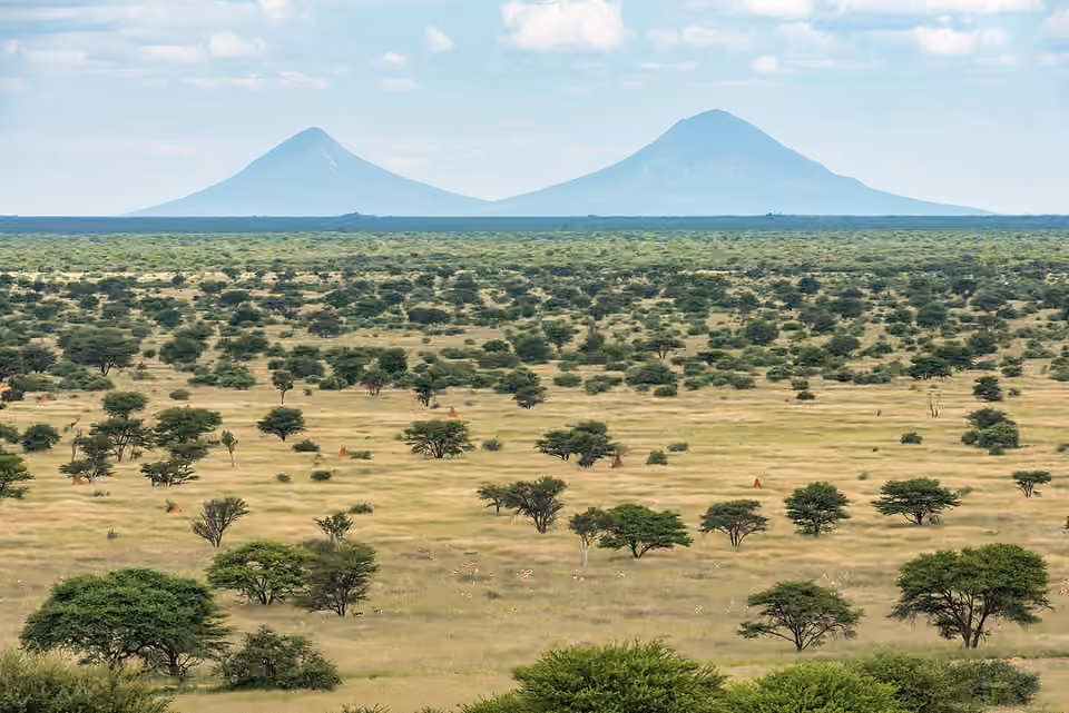 Un paysage envahi par des ligneux et une zone éclaircie près des monts Omatako, en Namibie.