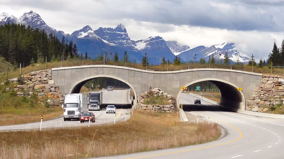 Passage pour la faune au-dessus de la route entre Banff et Lake Louise.