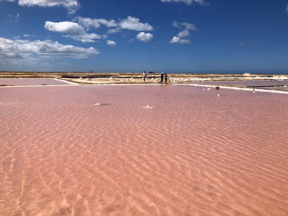 Bassin salant à Manaure en Colombie.