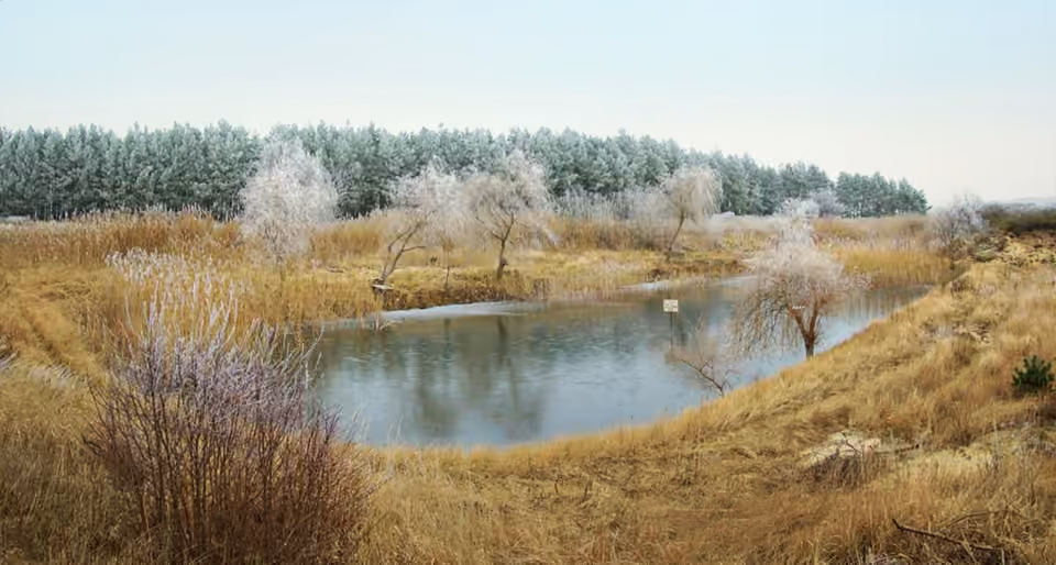 Mare naturelle entourée de végétation à Swarzynice, en Pologne.
