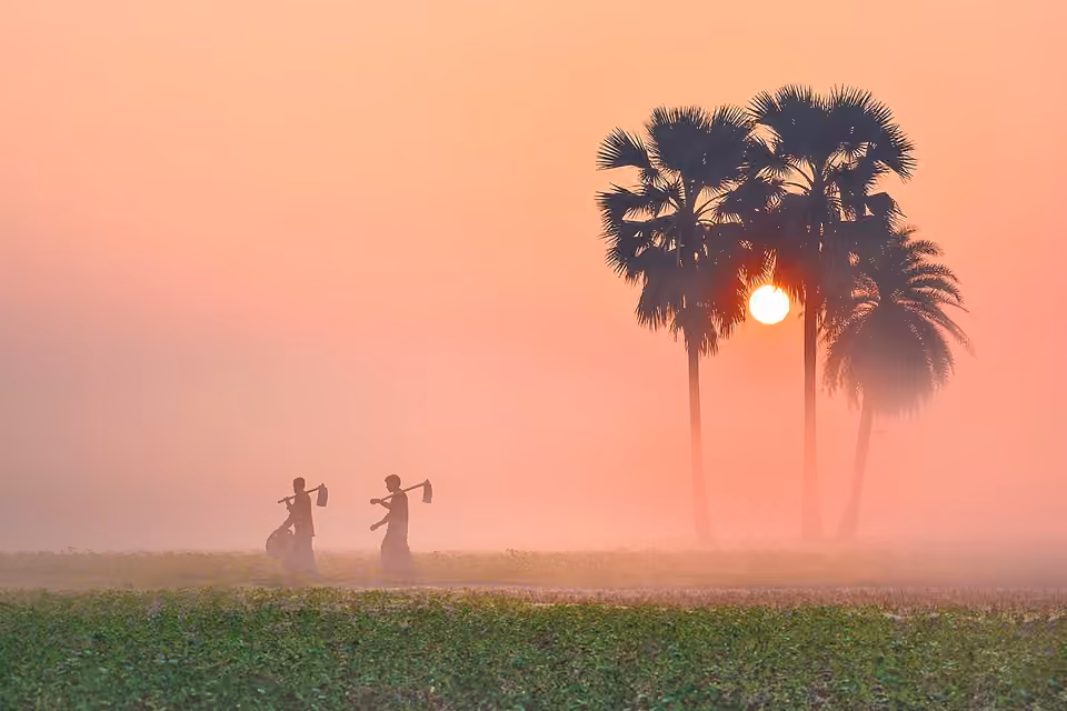 Paysage rural dans une brume matinale d’hiver au Bangladesh.