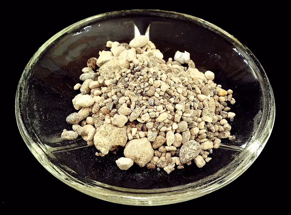 Échantillon de phosphorite présenté sur un fond clair.