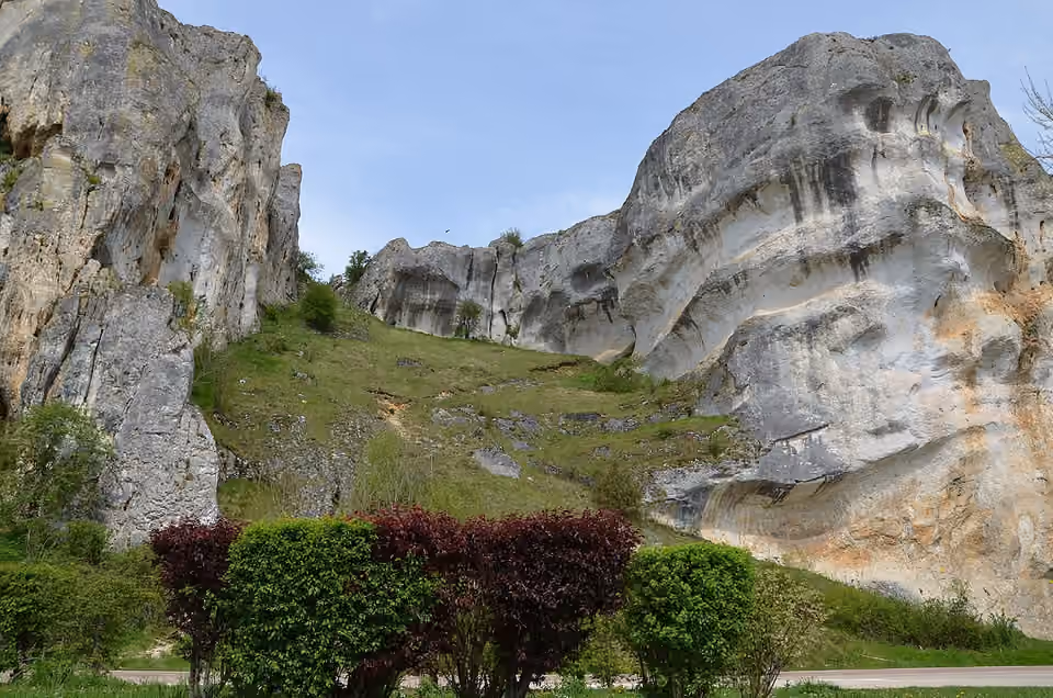 Falaises calcaires du Saussois et végétation de leurs corniches, dans l’Yonne.