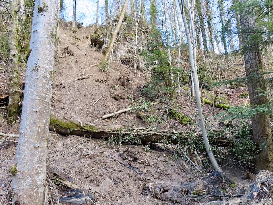 Versant boisé et matériaux rocheux dans le ravin de Küsnacht, en Suisse.