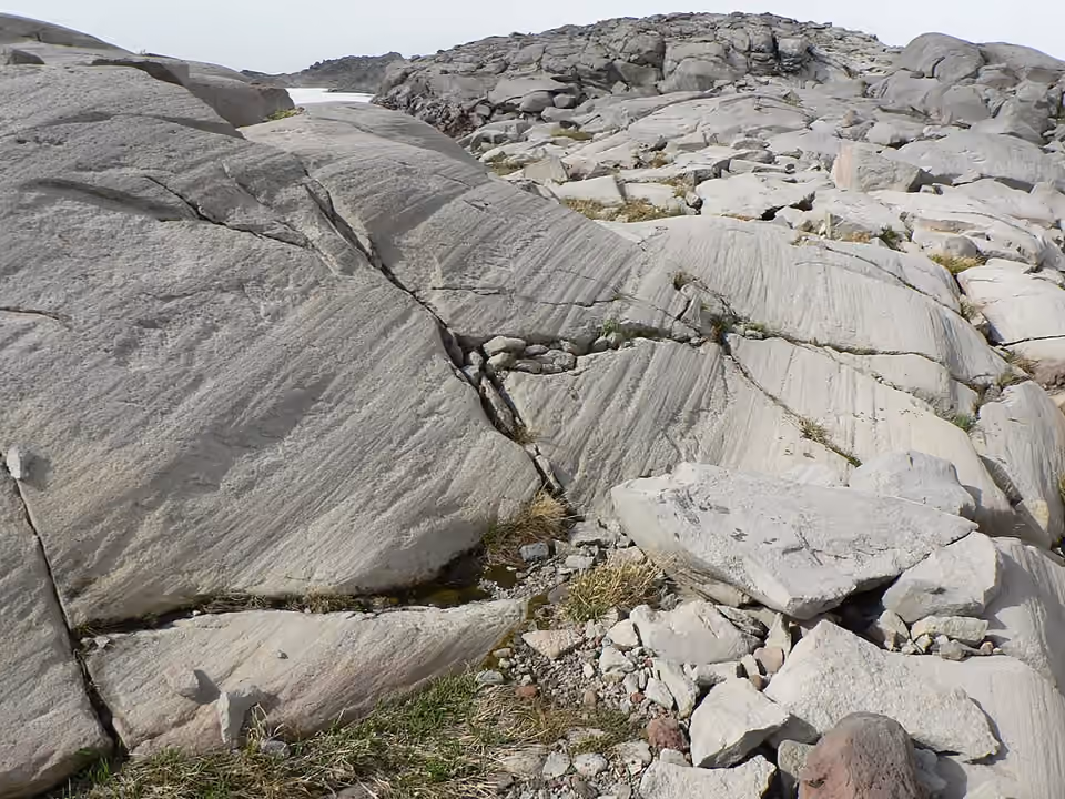Stries glaciaires sur une surface rocheuse au mont Rainier.