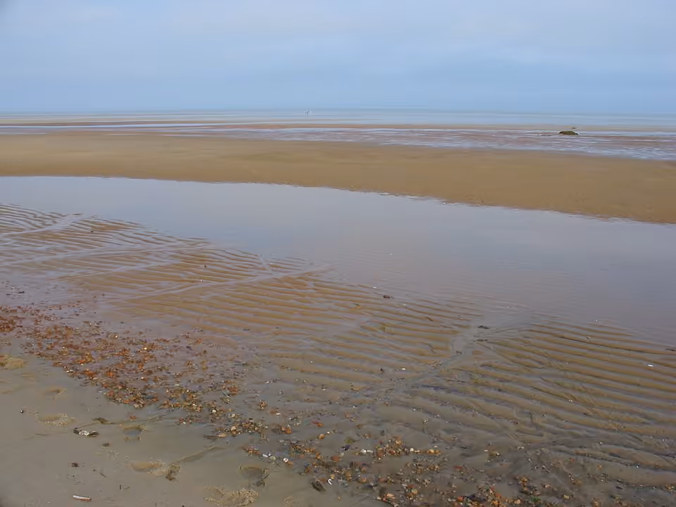 Vasière découverte à marée basse à Brewster, dans le Massachusetts.