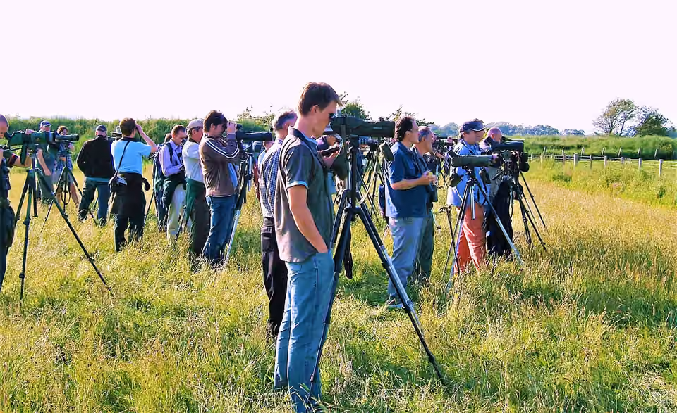 Observateurs d’oiseaux utilisant des jumelles et des longues-vues à Caerlaverock.