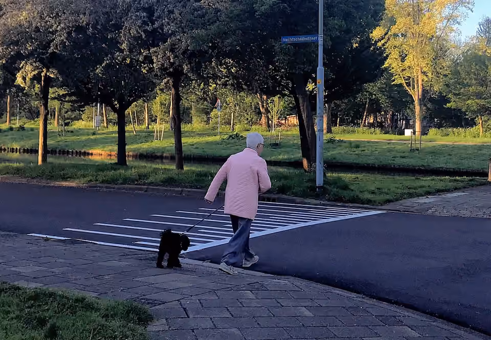 Une personne promène un chien tenu en laisse au bord d’un espace arboré.