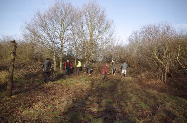 Bénévoles réunis pour un chantier d’entretien dans les marais de Cranham.