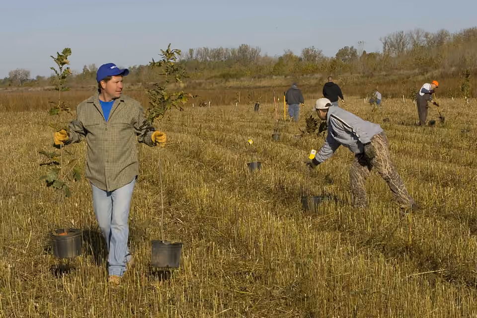 Plusieurs personnes en train de planter des arbres aux États-Unis.