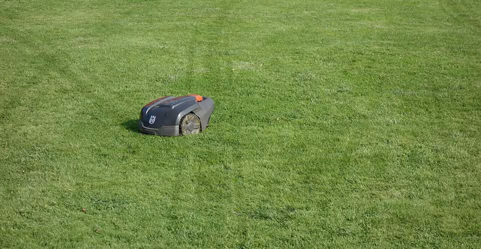 Robot tondeuse sur une pelouse portant des traces de passage.