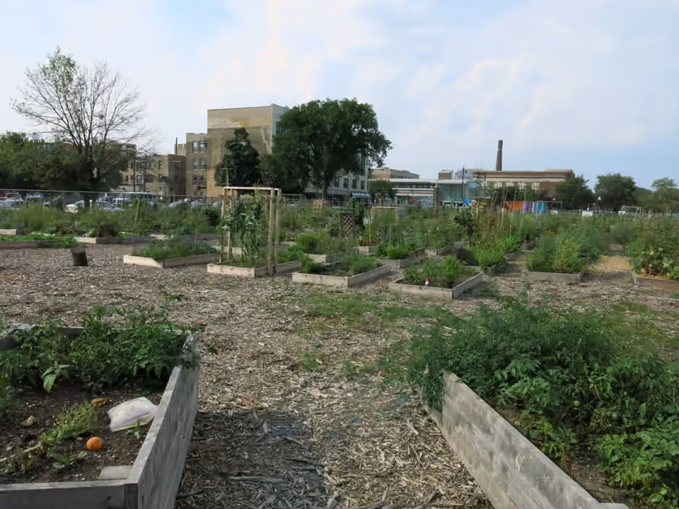 Parcelles d’un jardin partagé dans le quartier de Rogers Park à Chicago.