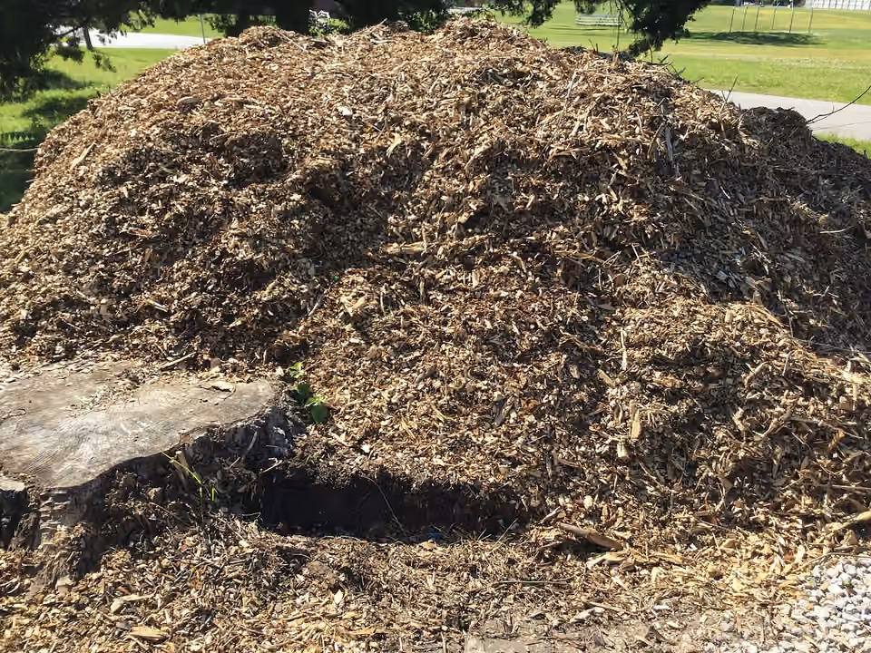 Tas de broyat de bois destiné à être utilisé au jardin.