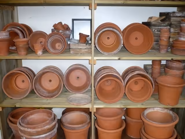 Pots de fleurs en terre cuite rangés sur des étagères à Down House.
