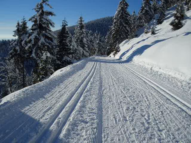 Une piste de ski de fond tracée dans la neige.