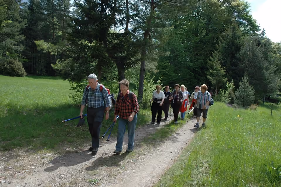 Des marcheurs utilisent leurs bâtons sur un chemin près de Babno Polje, en Slovénie.