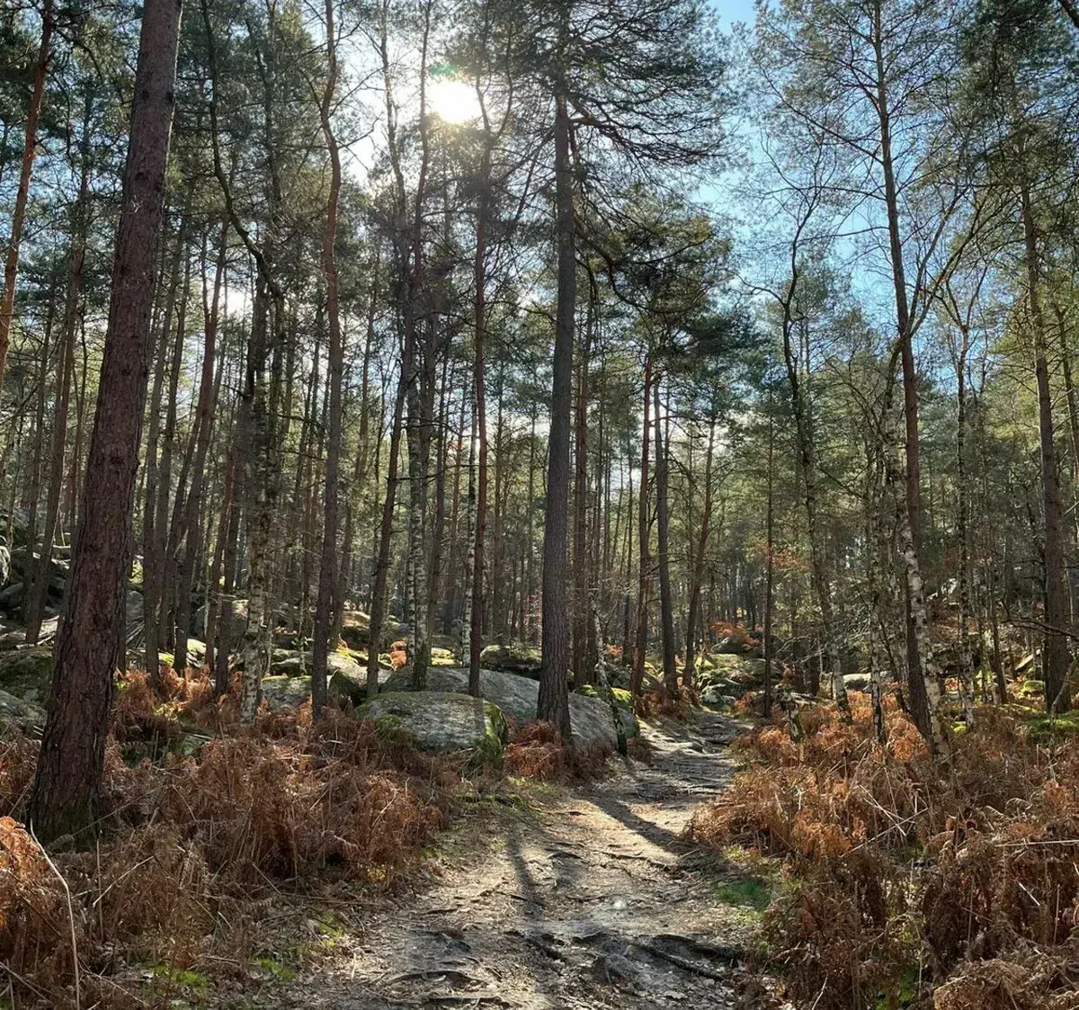 Paysage de randonnée en Île-de-France
