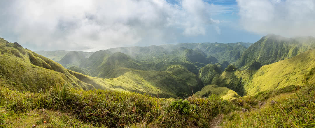 Paysage de randonnée en Martinique