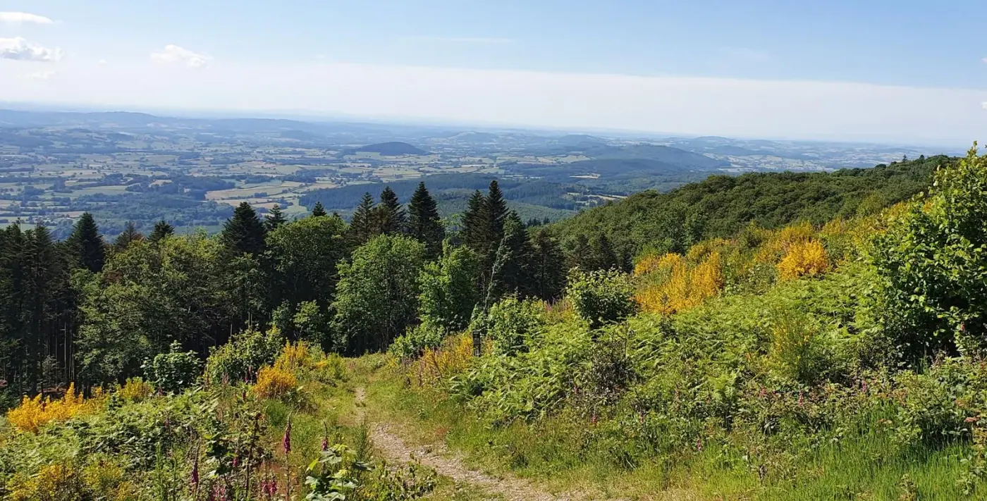 Paysage vallonné et boisé du Morvan