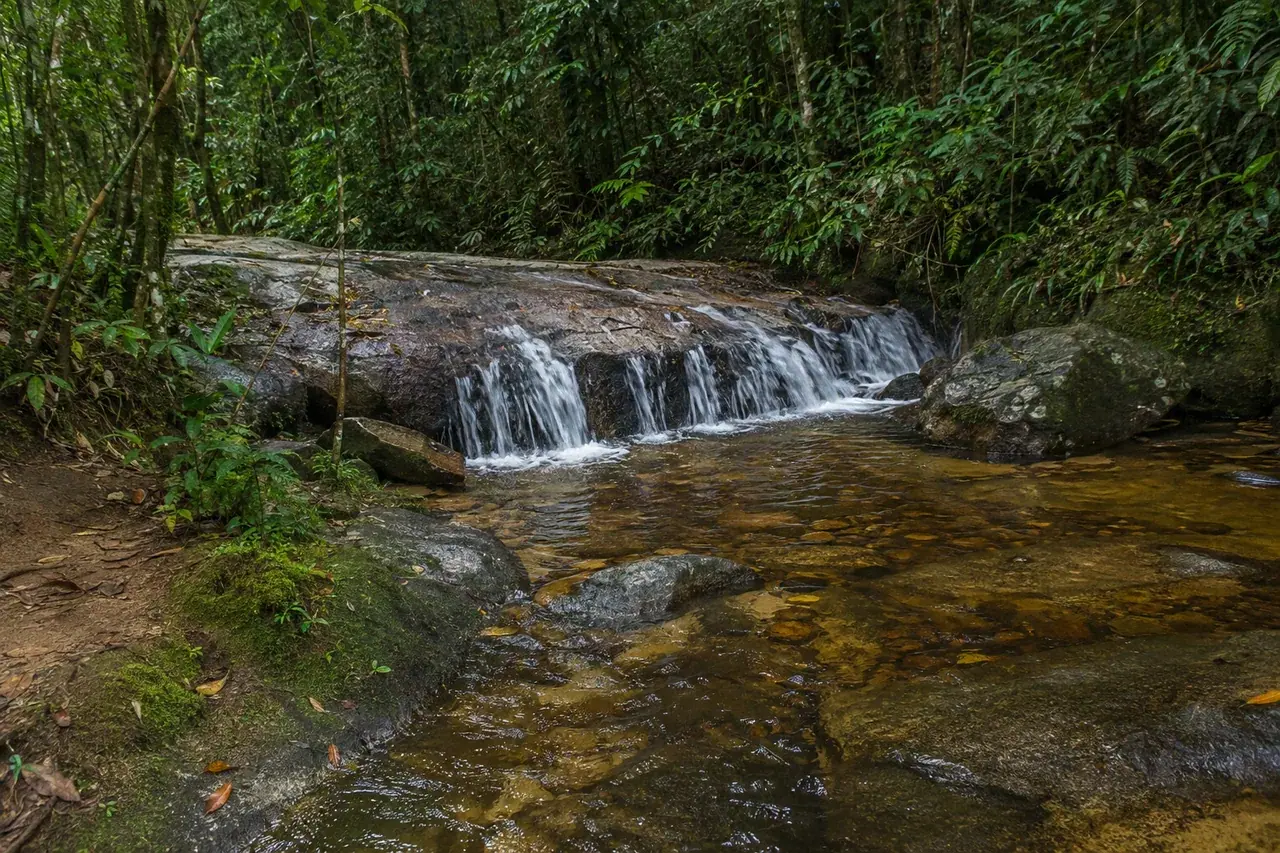 Petite cascade sur le granite dans la forêt amazonienne de Saül