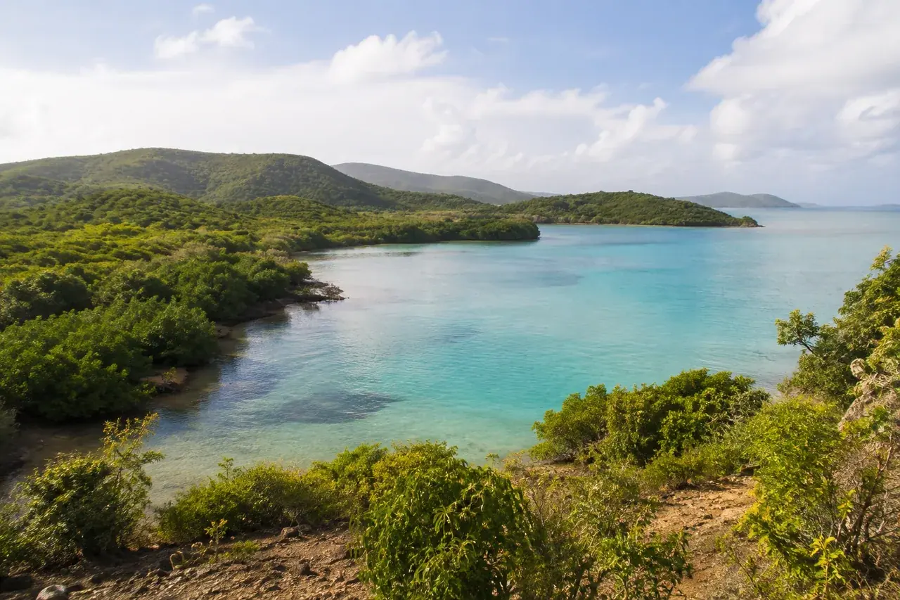 Baie tropicale abritée et mangroves sur le littoral atlantique martiniquais