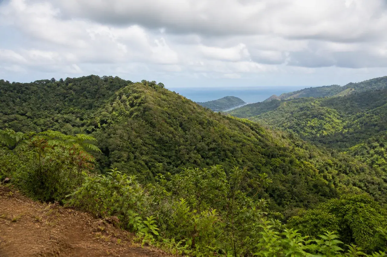 Collines forestières du nord de Mayotte et échappée sur la mer