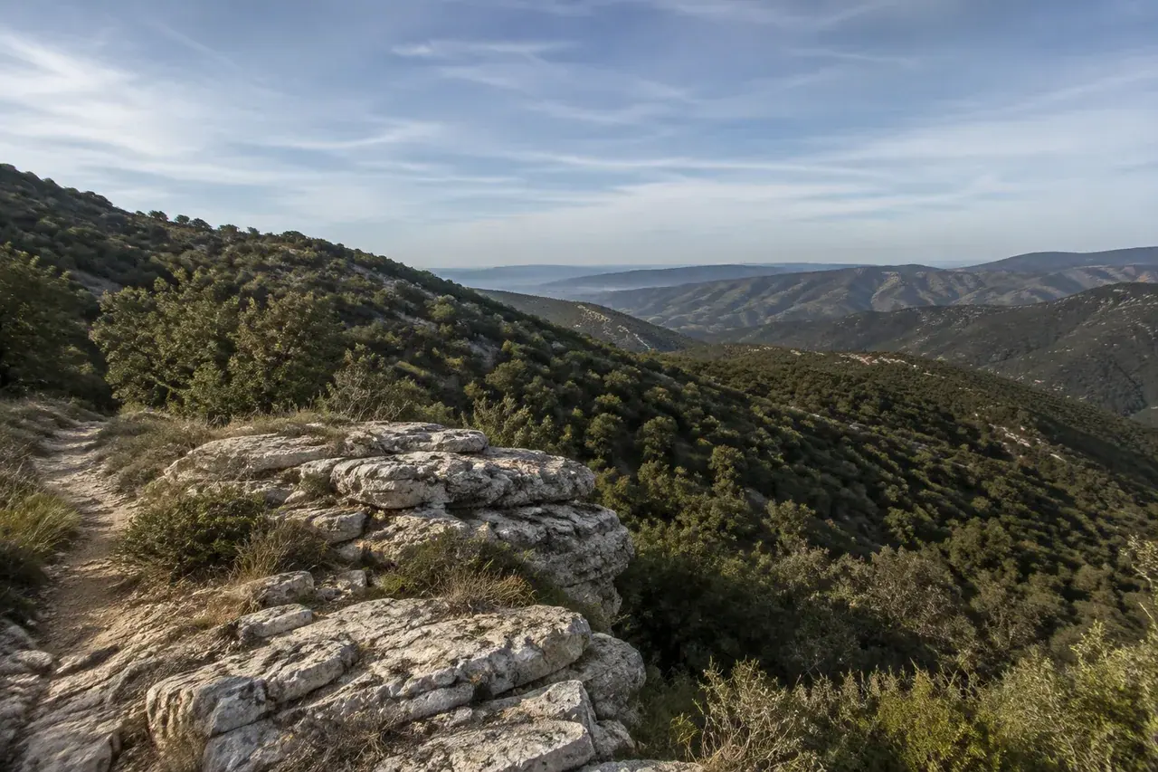 Promontoire calcaire sur les contreforts boisés des Cévennes