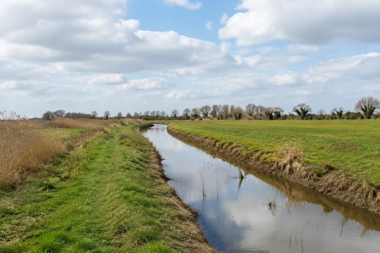 Prairies humides et chenaux du marais vendéen