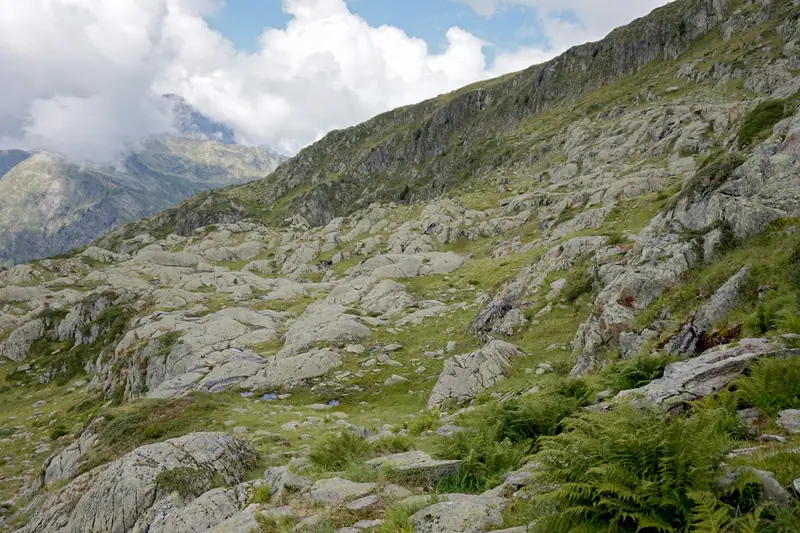 Un sentier entre rochers, pelouses et fougères dans la réserve naturelle des Aiguilles Rouges, sous un ciel nuageux.
